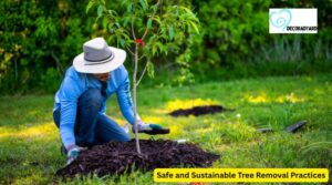 Safe and Sustainable Tree Removal Practices