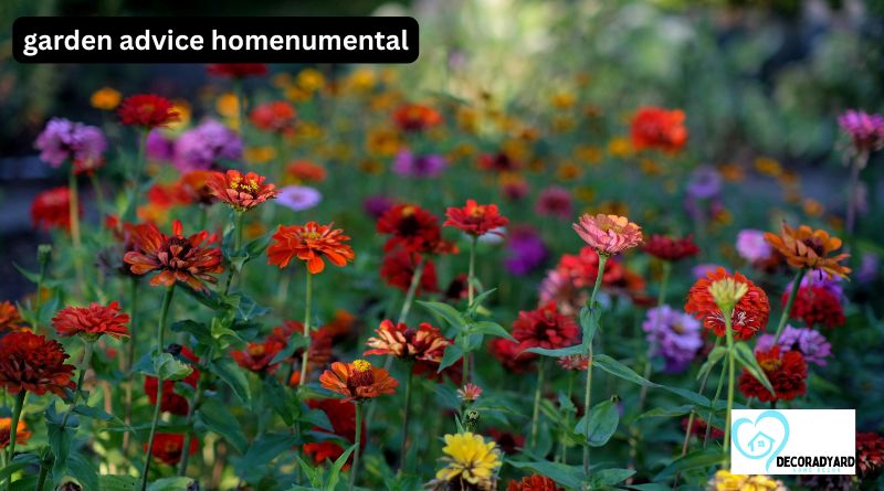 Garden Advice Homenumental