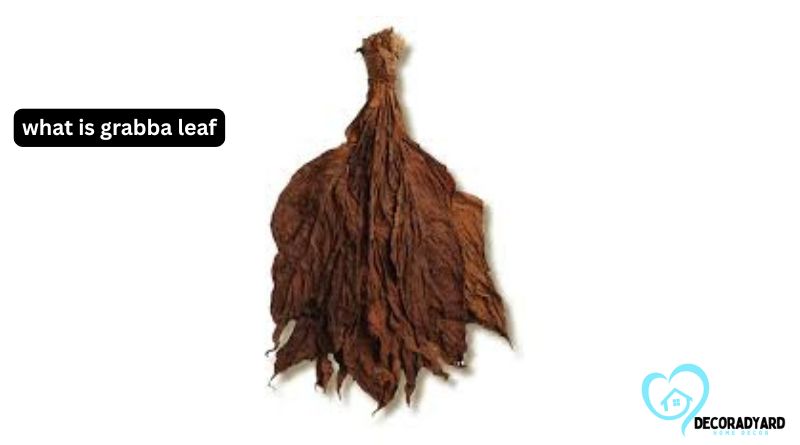 What Is Grabba Leaf