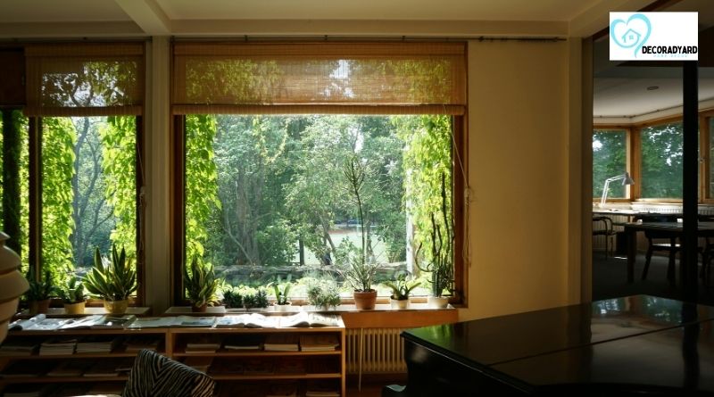 Bring Peace Home: Eco-Friendly Home Goods for Everyday Living