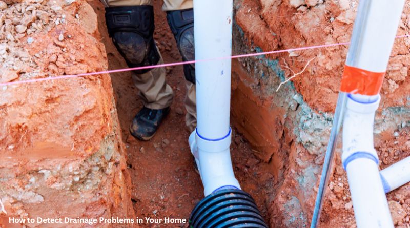 How to Detect Drainage Problems in Your Home