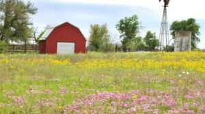 Traditional Barns