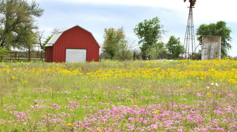 Traditional Barns