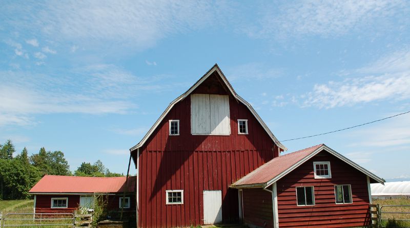 Best Barn Builders