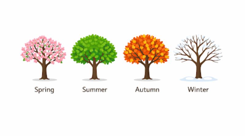 Seasonal Changes