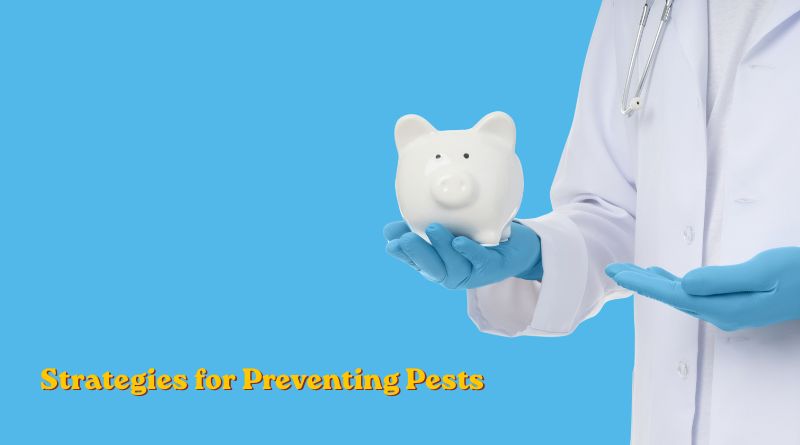 Strategies for Preventing Pests