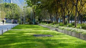 Sustainable landscaping