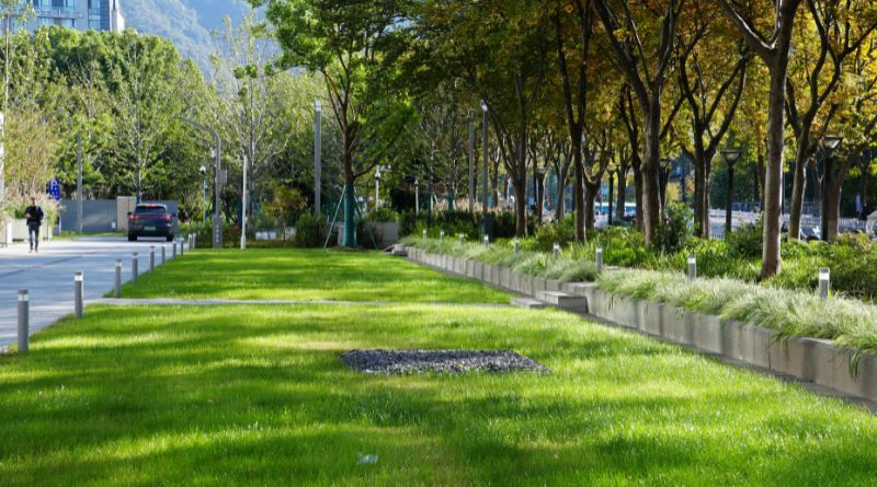 Sustainable landscaping