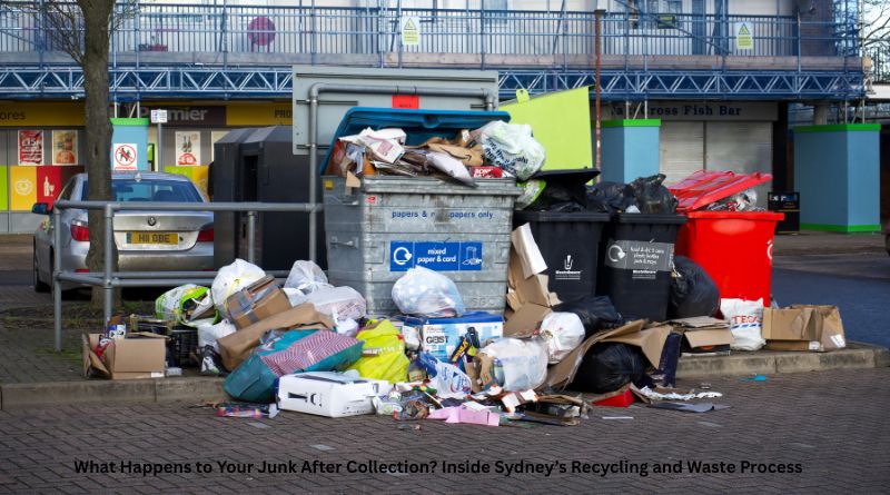 What Happens to Your Junk After Collection? Inside Sydney’s Recycling and Waste Process
