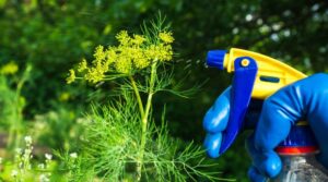 Proactive Pest Prevention in Chicago Commercial Spaces