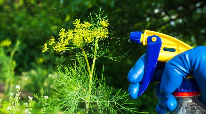 Proactive Pest Prevention in Chicago Commercial Spaces