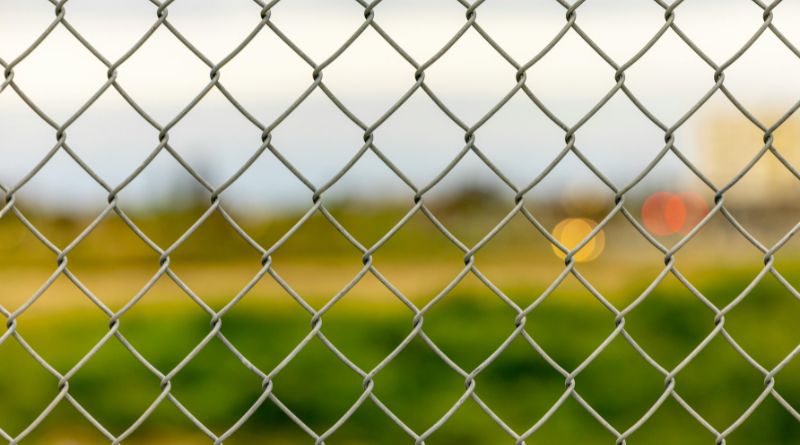 Chain Link Fences For Pets