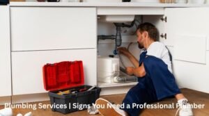Plumbing Services | Signs You Need a Professional Plumber