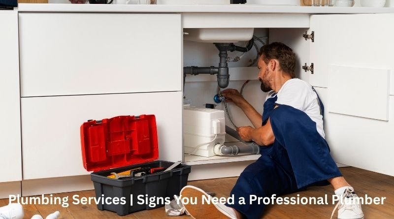 Plumbing Services | Signs You Need a Professional Plumber