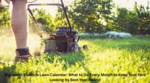 The North Carolina Lawn Calendar: What to Do Every Month to Keep Your Yard Looking Its Best Year-Round