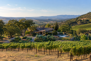 wine country