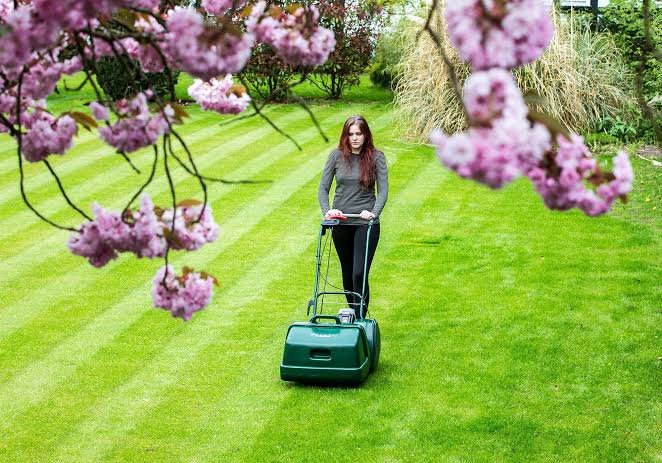 How Seasonal Lawn Care Helps Keep North Carolina Lawns Healthy